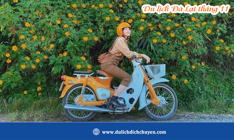 Du lịch Đà Lạt tháng 11 
