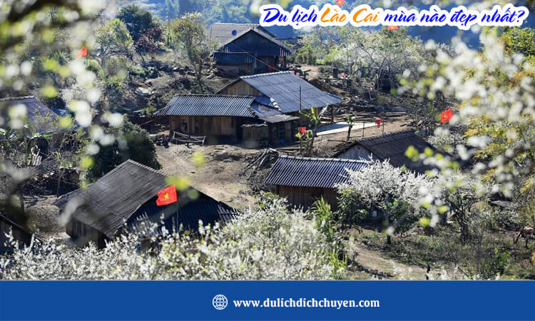 Du lịch Lào Cai mùa nào đẹp nhất? 